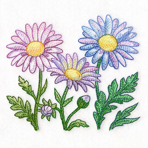 Flourish and Grow Daisies Border - Image 3