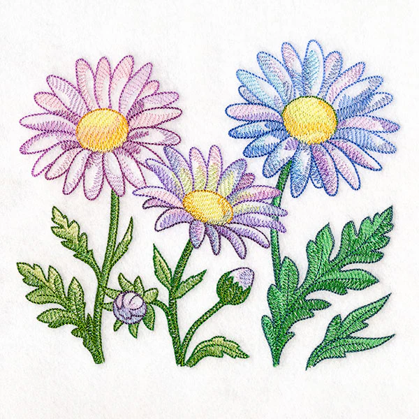 Flourish and Grow Daisies Border - Image 4
