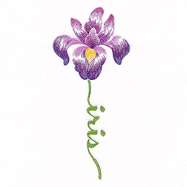 Flourishing Calligraphy - Iris - Image 4
