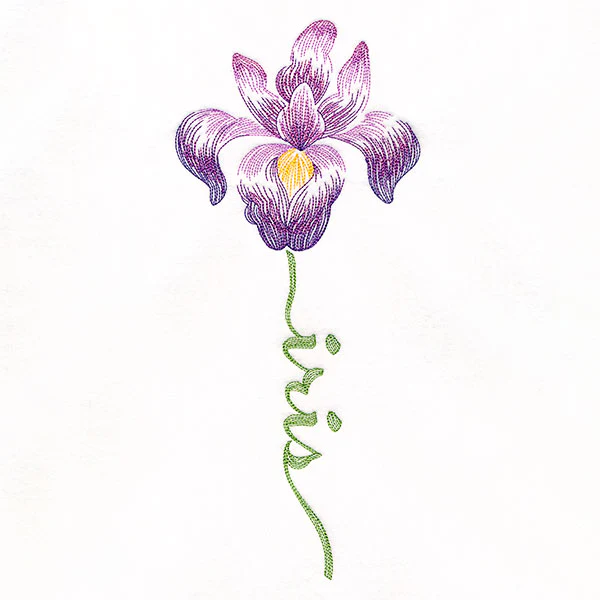 Flourishing Calligraphy - Iris - Image 5