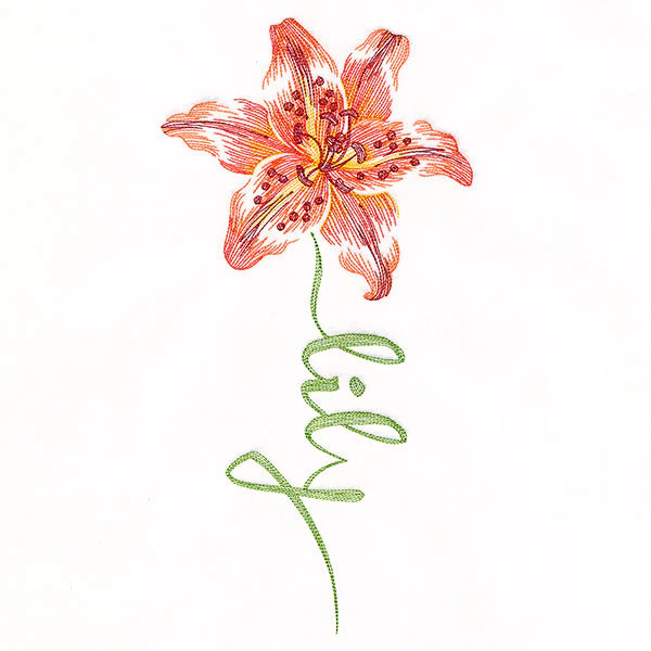 Flourishing Calligraphy - Lily - Image 5