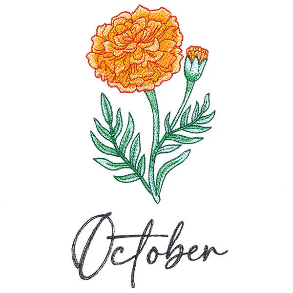 Flower of the Year - October - Image 3