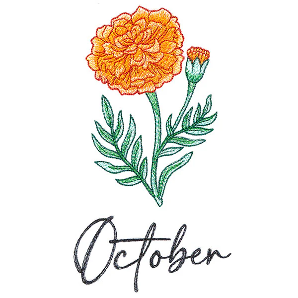 Flower of the Year - October - Image 4