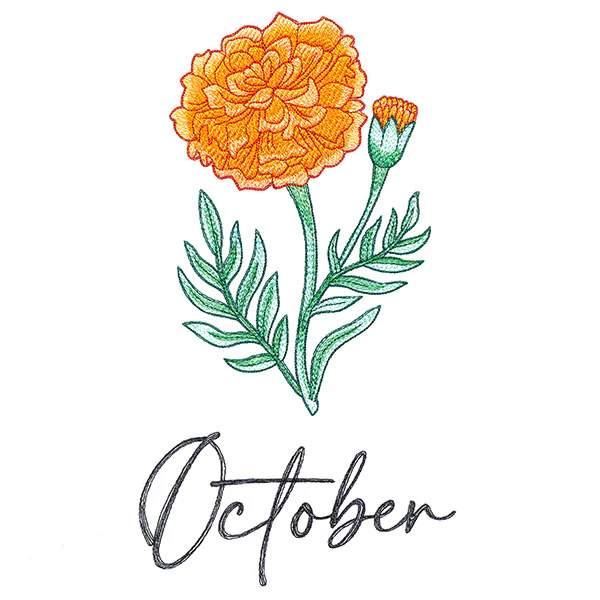 Flower of the Year - October - Image 5