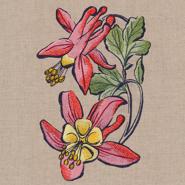 Flowers of the Forest - Columbine - Image 3