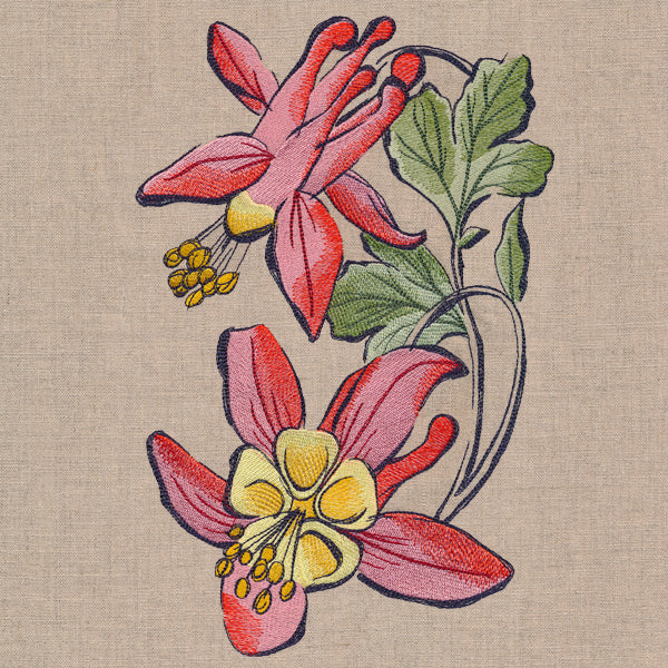 Flowers of the Forest - Columbine - Image 6