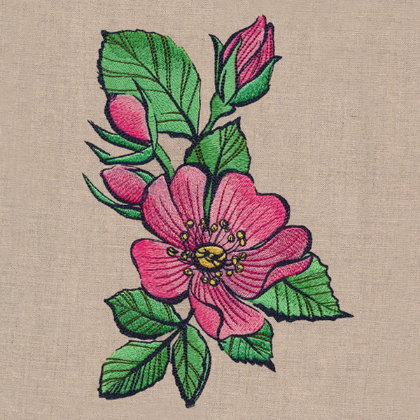 Flowers of the Forest - Wild Rose - Image 3