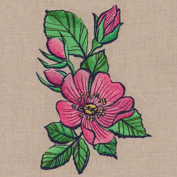 Flowers of the Forest - Wild Rose - Image 4