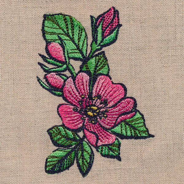Flowers of the Forest - Wild Rose - Image 5