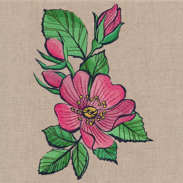 Flowers of the Forest - Wild Rose - Image 6