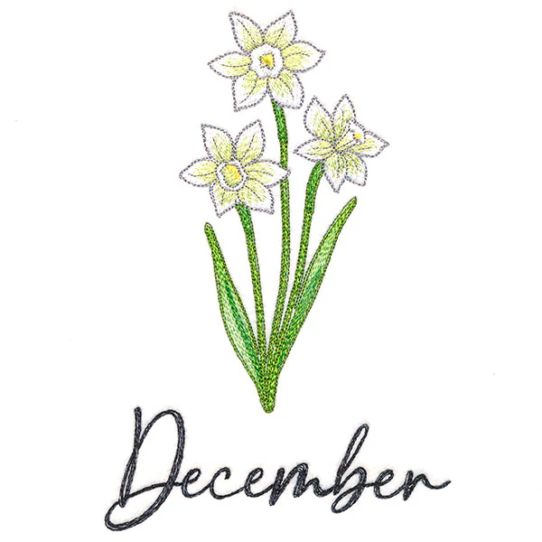 Flowers of the Year - December - Image 4