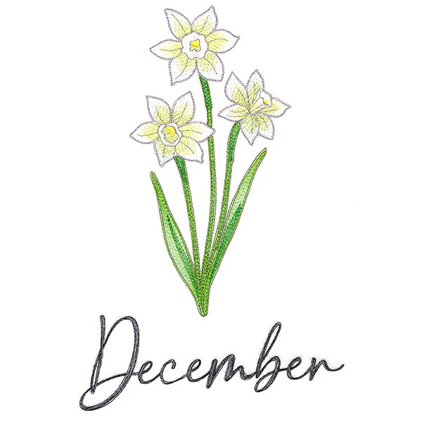 Flowers of the Year - December - Image 5