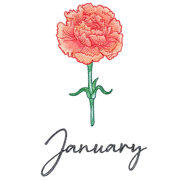 Flowers of the Year - January - Image 3
