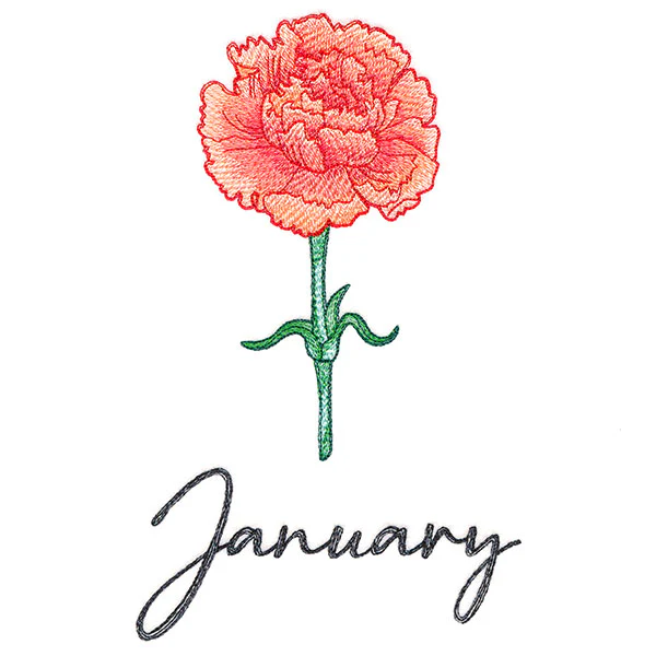 Flowers of the Year - January - Image 5