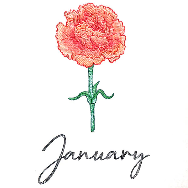Flowers of the Year - January - Image 9