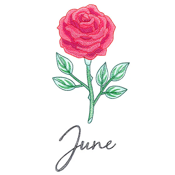 Flowers of the Year - June - Image 4