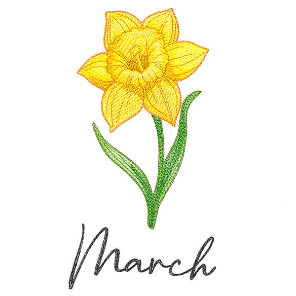 Flowers of the Year - March - Image 5
