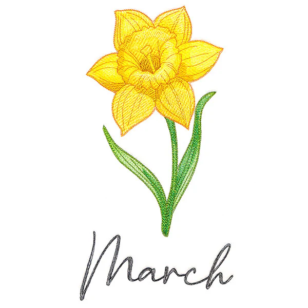 Flowers of the Year - March - Image 9