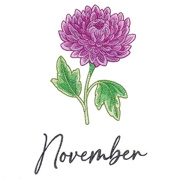 Flowers of the Year - November - Image 2