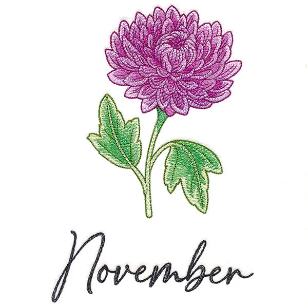 Flowers of the Year - November - Image 3
