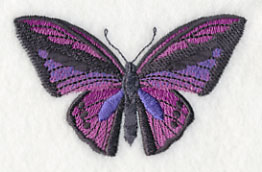 Fluttering Colors 2