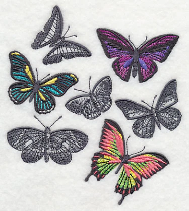 Fluttering Colors - Image 3