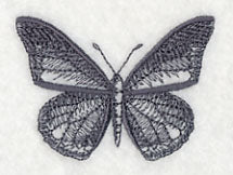 Fluttering Colors 5 - Image 3