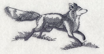 Fox in Nature 1