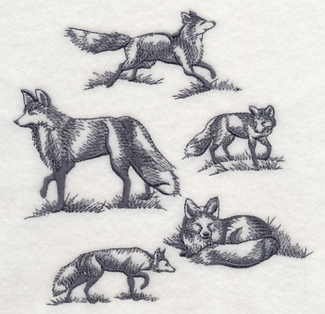 Foxes in Nature - Image 3