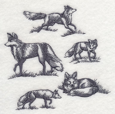 Foxes in Nature - Image 4