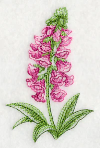 Foxglove Beauty - Image 5