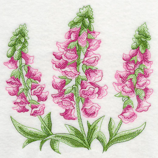 Foxglove Sketch - Image 2