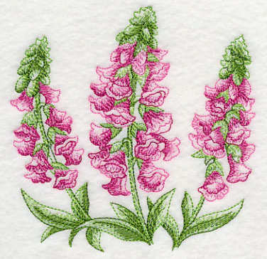 Foxglove Sketch - Image 4