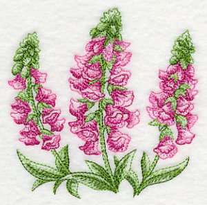 Foxglove Sketch - Image 5