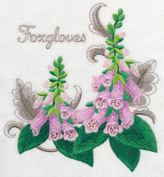 Foxgloves with Flourish - Image 5