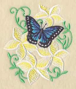 Frangipani and Butterfly - Image 5