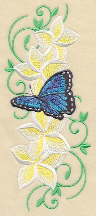 Frangipani and Butterfly Plume - Image 2