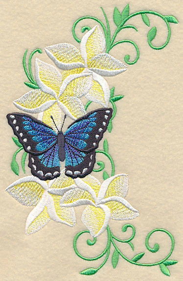 Frangipani and Butterfly Spray - Image 3