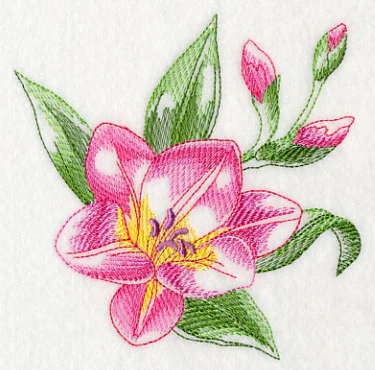 Freesia Beauty - Image 4