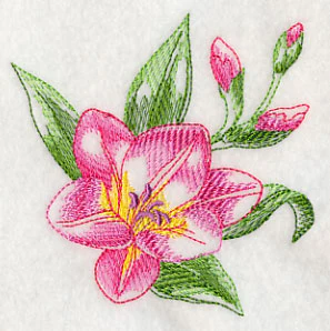 Freesia Beauty - Image 5