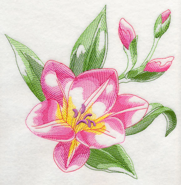 Freesia Beauty - Image 6