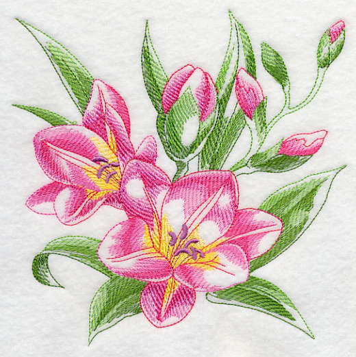 Freesia Sketch - Image 3