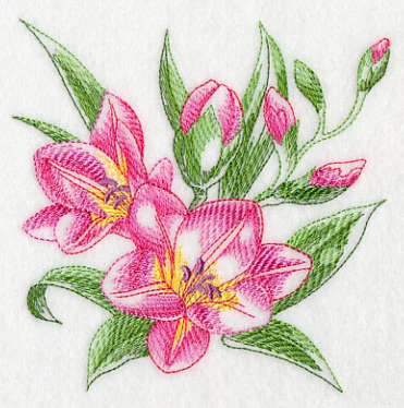 Freesia Sketch - Image 7