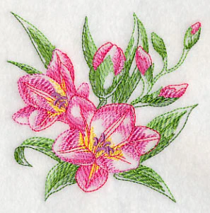 Freesia Sketch - Image 9