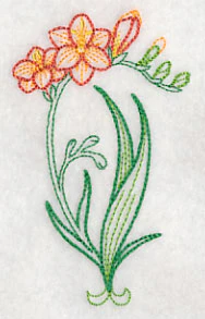 Freesia (Vintage) - Image 4