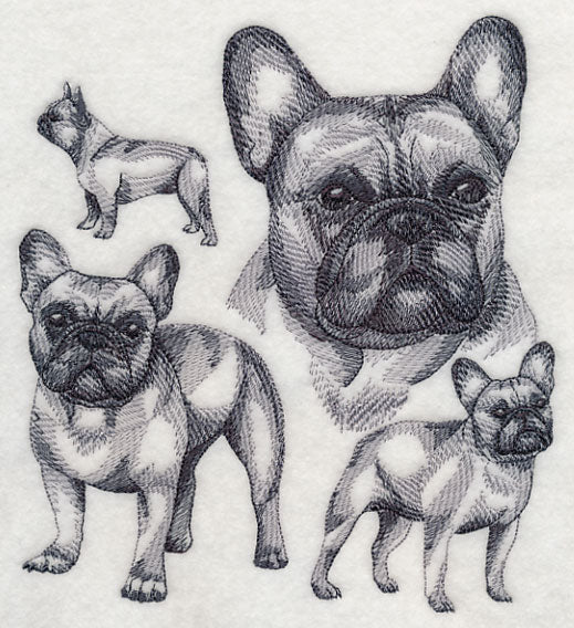 French Bulldog Sketch - Image 4