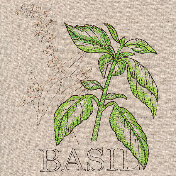 Fresh Basil Medley - Image 4