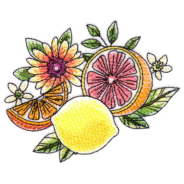 Fresh Citrus and Botanicals Accent - Image 3
