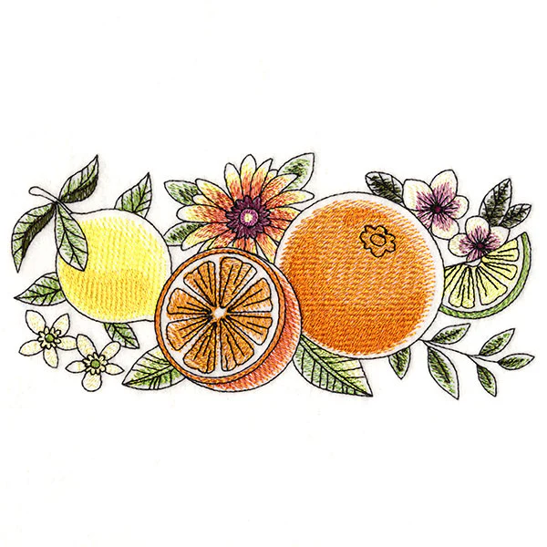 Fresh Citrus and Botanicals Border - Image 3