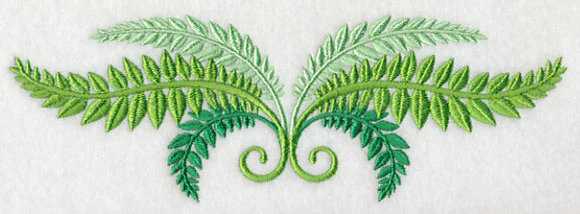 Fresh Fern Border - Image 2